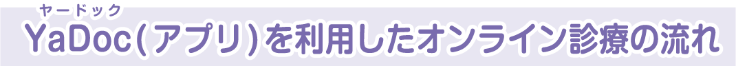 YaDoc(�A�v��)�𗘗p�����I�����C���f�Â̗���